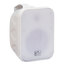 SVS Audiotechnik WSP-60 White Громкоговоритель настенный