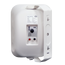 SVS Audiotechnik WSP-60 White Громкоговоритель настенный