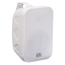 SVS Audiotechnik WSP-80 White Громкоговоритель настенный