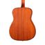 ​CORT AF510M-OP Standard Series Акустическая гитара, цвет натуральный