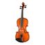 GLIGA PU-V044-OH Professional Gama Unique Ash Скрипка 4/4