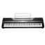 KURZWEIL KA70 LB Переносное компактное цифровое пианино 88кл,