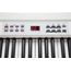 Kurzweil KA90 WH Цифровое пианино 88кл,