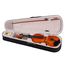 FOIX FVP-01A-4/4 Скрипка студенческая 4/4, с футляром и смычком