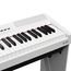 EMILY PIANO D-20 WH Цифровое фортепиано 88кл. со стойкой в комплекте