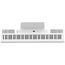 ARTESIA PE-88 White Цифровое фортепиано ,Количество клавиш 88,Тип клавиатура, Динамическая взвешенная