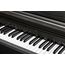 KURZWEIL CUP E1 BK Цифровое пианино 88кл.Чувствительная к скорости нажатия, 4 уровня