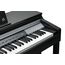 KURZWEIL CUP P1 BK Цифровое пианино 88кл. Чувствительная к скорости нажатия, 4 уровня