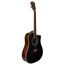 ROCKDALE Aurora D6 C BK Satin Акустическая гитара. Форма корпуса Dreadnought с вырезом. Цвет черный.