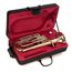 JOHN PACKER JP173 MkII Баритон Bb, лакированное золото, изображение 3