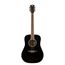 ROCKDALE Aurora D6 BK Gloss Акустическая гитара. Форма корпуса Dreadnought. Цвет черный.