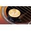 GUITTO GHD-01 Увлажнитель для акустической гитары