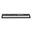 LAUDIO P-61-PRO MIDI-контроллер, 61 клавиша