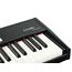 LAUDIO P-61-PRO MIDI-контроллер, 61 клавиша