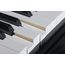 MEDELI GP805 Цифровой рояль, изображение 7