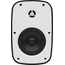 SVS Audiotechnik PAF-5W PRO Всепогодная трансляционная акустическая система IP65, изображение 2