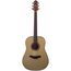 CRAFTER HD-100/GGP04 OP.N Транcакустическая гитара, цвет натуральный