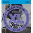D'ADDARIO EXL115 XL NICKEL WOUND Струны для электрогитары Blues/Jazz Rock 11-49
