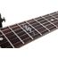 SCHECTER SGR C-7 Гитара электрическая 7 струн Black (Gloss Black), изображение 3